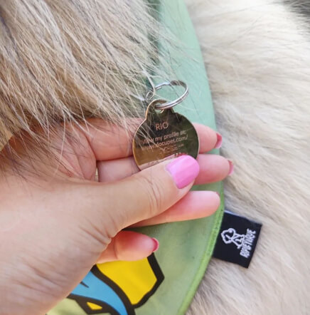 Pet tag with identification